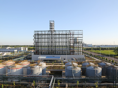 精餾塔（背面）